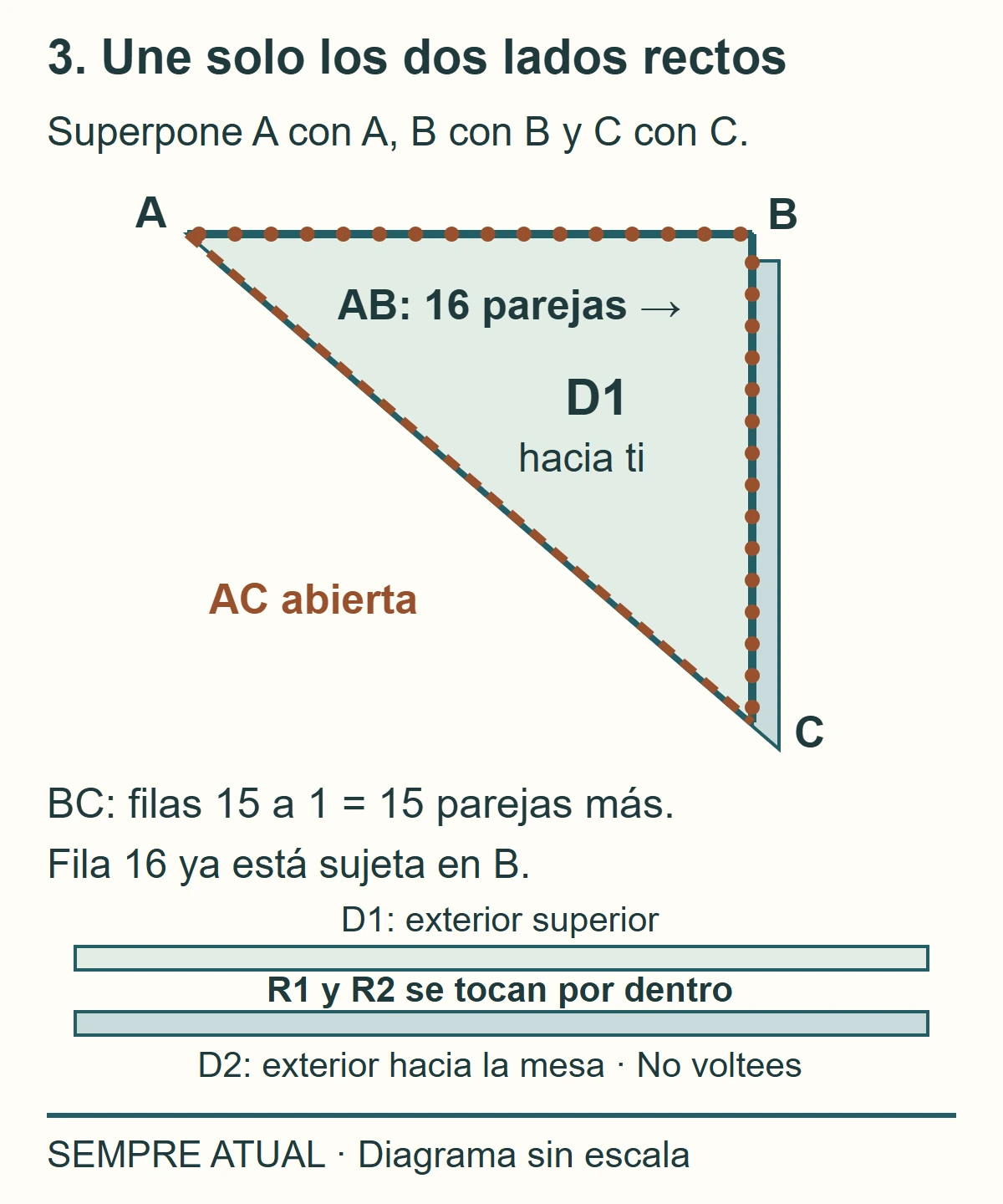 Dos capas alineadas: se unen 16 parejas en AB y 15 más en BC; AC sigue abierta. Los reveses elegidos se tocan y los derechos quedan afuera.